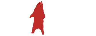 Oso Pardo